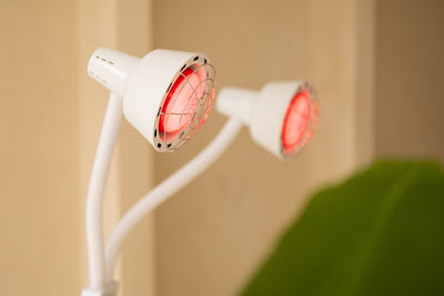 Close-up van twee brandende infraroodlampen in witte kappen met flexibele arm